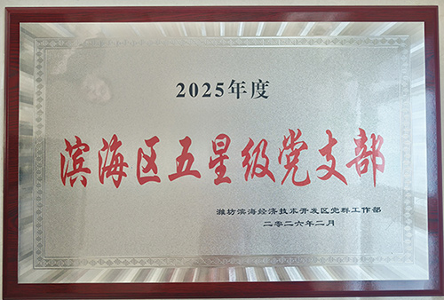北海热力党支部获评滨海区五星级党支部